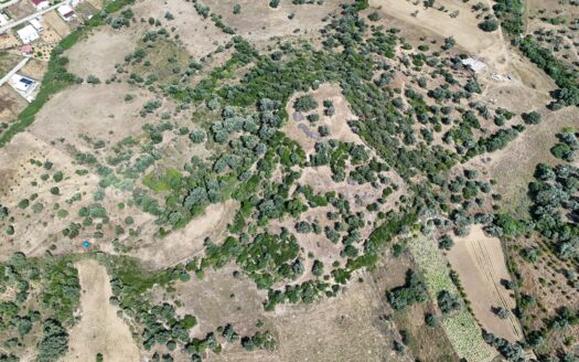 Güzelbahçe Çamlı’da 35.000 m2 ve 65.000 m2 iki parsel arazi (Toplam 102 Dönüm)