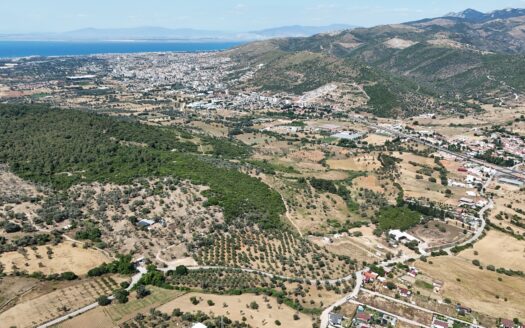 Güzelbahçe Çamlı’da 35.000 m2 ve 65.000 m2 iki parsel arazi (Toplam 102 Dönüm)