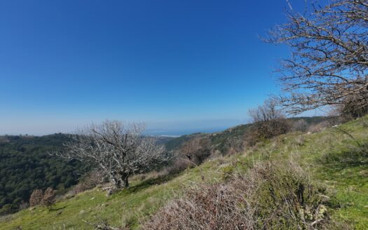 Güzelbahçe Payamlı’da Deniz Manzaralı Yatırımlık Bağ