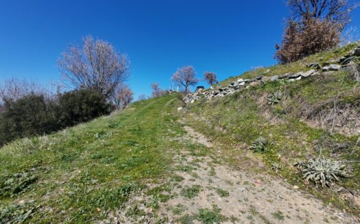 Güzelbahçe Payamlı’da Deniz Manzaralı Yatırımlık Bağ