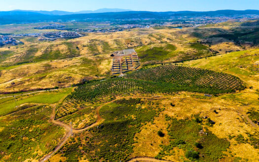 Seferihisar’da 75 Dönüm Arazi