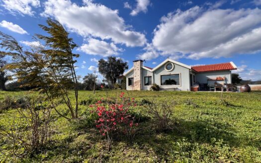 Seferisihar Ulamış’ta 9.000 m2 Arazide Tek Katlı Villa..